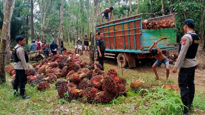 Anggota-Polres-OKI-saat-melakukan-pengamanan-panen-di-kebun-sawit.jpg