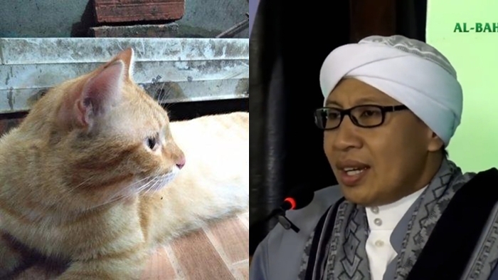Buya-Yahya-tentang-hukum-jual-beli-kucing.jpg