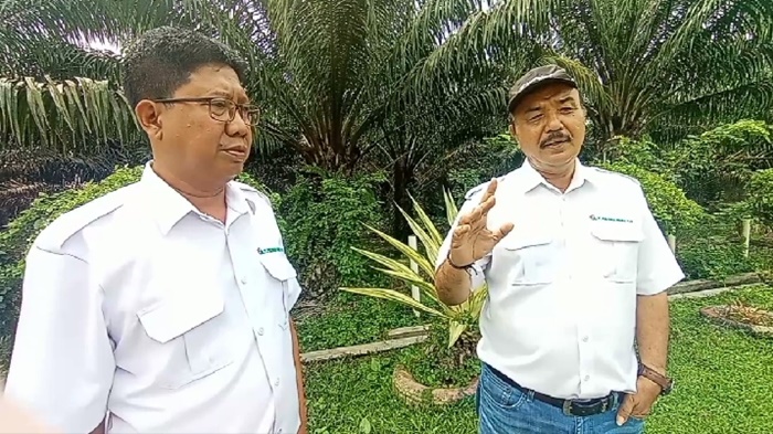 GMO-PT-Perkebunan-Minanga-Ogan-I-Wayan-Sudirsa-topi.jpg