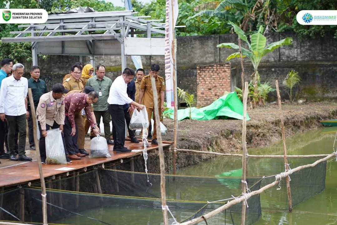 Gubernur-Sumsel-didampingi-para-OPD-menebar-benih-ikan.jpg