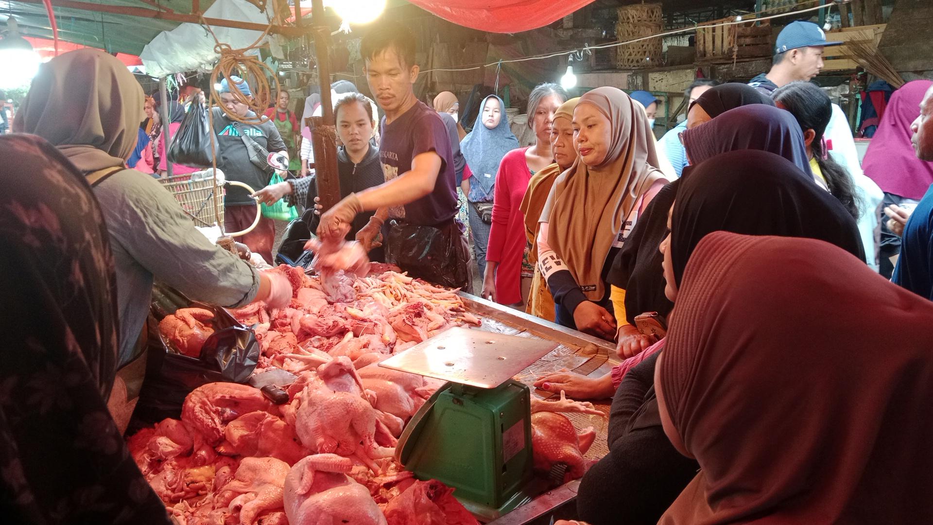 HARGA-AYAM-ANJLOK-1.jpg