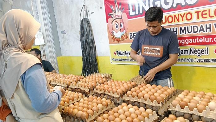 HARGA-TELUR-AYAM.jpg