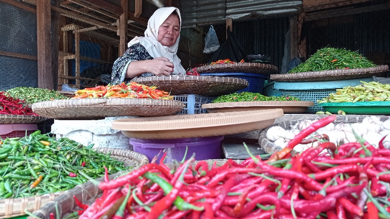 Harga-cabai-di-linggai.jpg