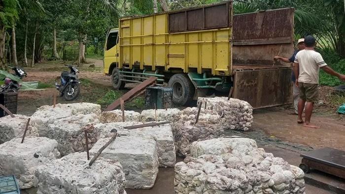 Harga-karet-di-Kecamatan-Tanjung-Lubuk-OKI.jpg
