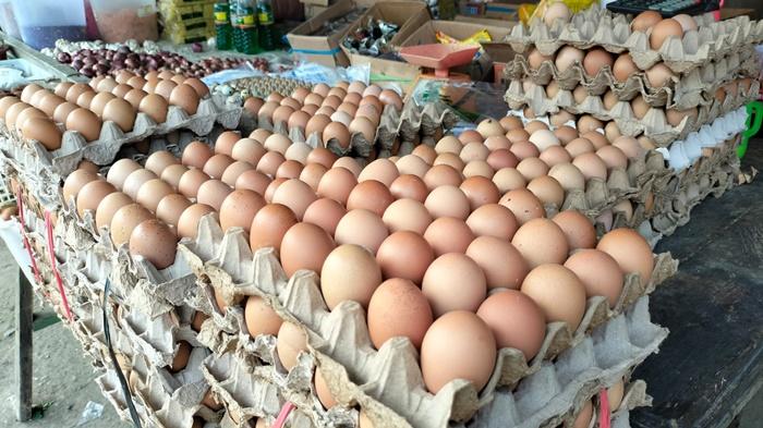 Harga-telur-ayam-ras-di-Kabupaten-Musi-Rawas.jpg