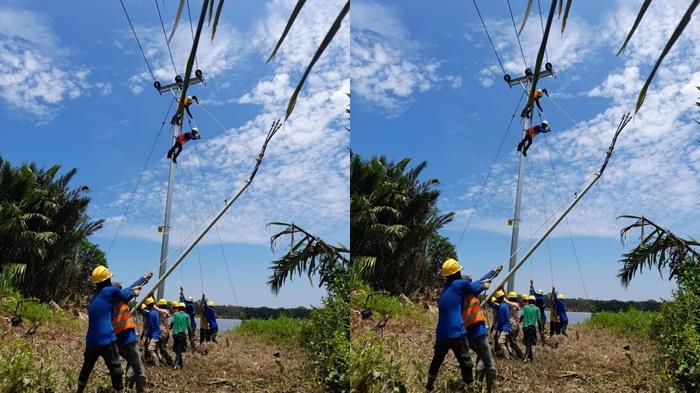 Kerja-keras-yang-dilakukan-oleh-Tim-PLN-menjelang-HUT-RI.jpg