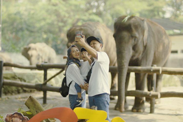 Koleksi-satwa-Gembira-Loka-Zoo-Yogyakarta.jpg