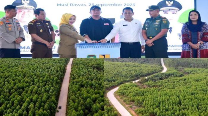 Dari Musi Rawas ke Palembang Kini Hanya 4 Jam, Lewat Jalan Semambang - Cecar Simpang 9 - Kulim PALI