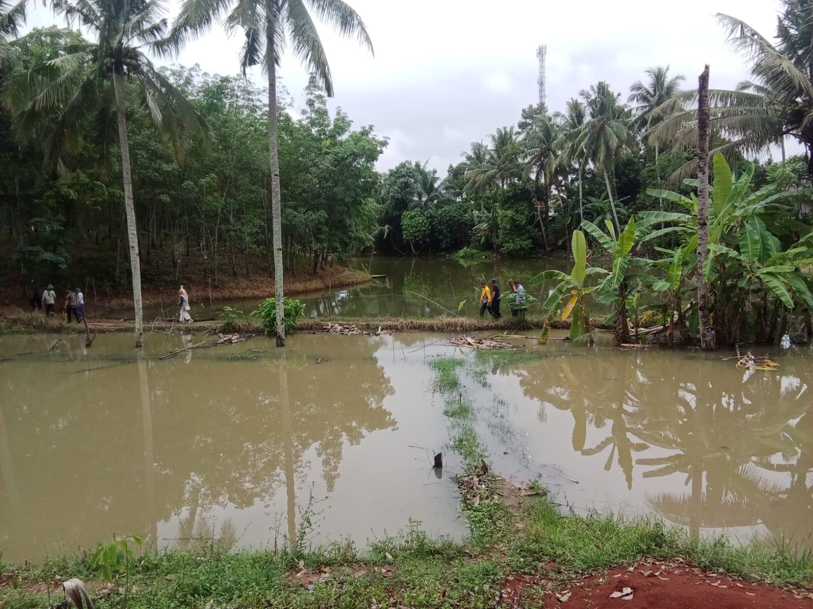 Kondisi-lahan-pertanian-di-Dusun-3-Desa-Air-Satan.jpg