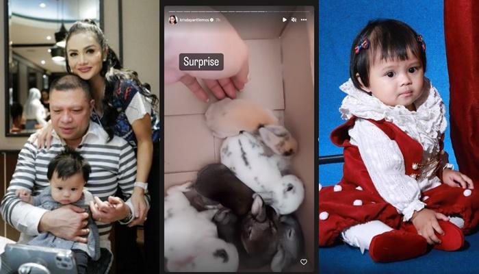 Krisdayanti dan Raul Lemos Beri Kado Spesial buat Ameena, Putri Aurel Hermansyah Dapat 5 Hadiah