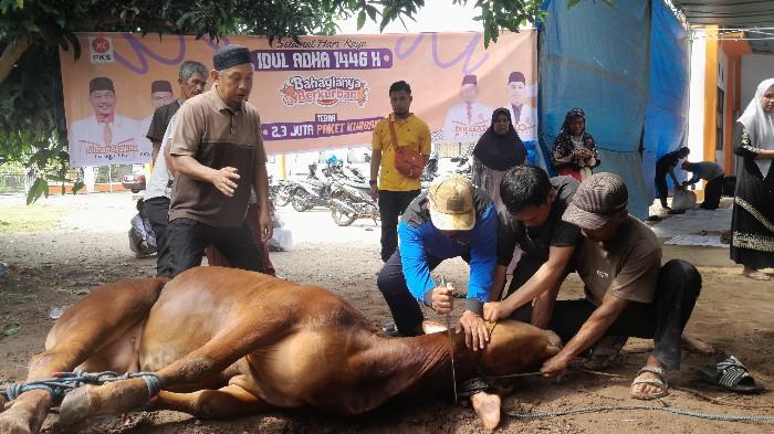 Semarak Idul Adha 1446 H,  PKS OKI Sembelih 5 Sapi dan 1 Kambing untuk Masyarakat
