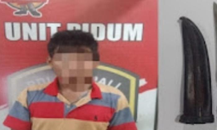 2 Jam Jadi Buronan, Jagoan Asal Talang Ojan Ini Ciut Dikepung Tim Beruang Hitam Polres PALI - Sripoku.com