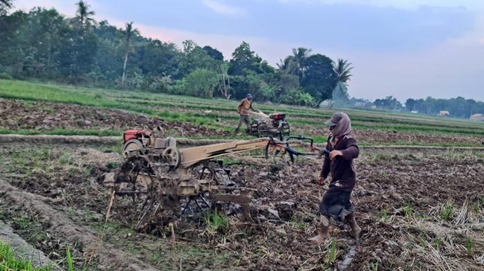 Petani-di-Kecamatan-Martapura-Kabupaten-OKU-Timur-mulai-membajak-lahan-sawahnya.jpg