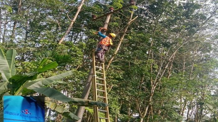 Petugas-PLN-Pendopo-Pali-Perbaiki-Jaringan.jpg