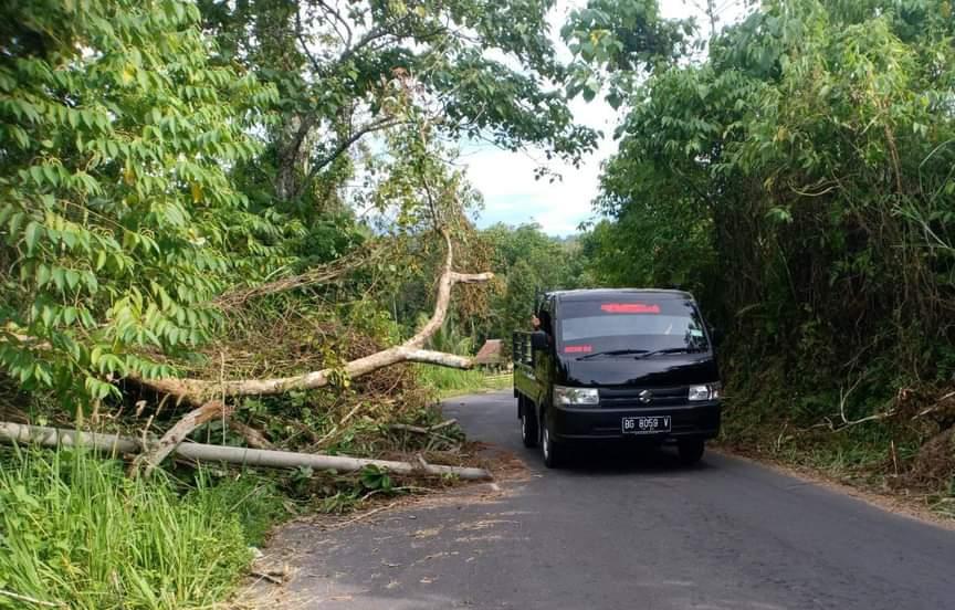 Pohon-tumbang-menutupi-jalan-di-OKU-Selatan.jpg