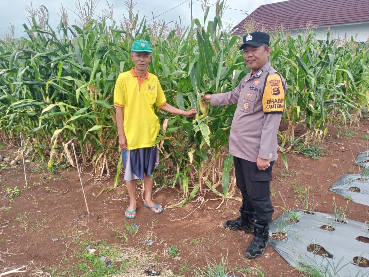 Polisi-turun-langsung-ke-ladang-melakukan-pemantauan-dan-pendampingan-hingga-ke-pelosok-desa.jpg