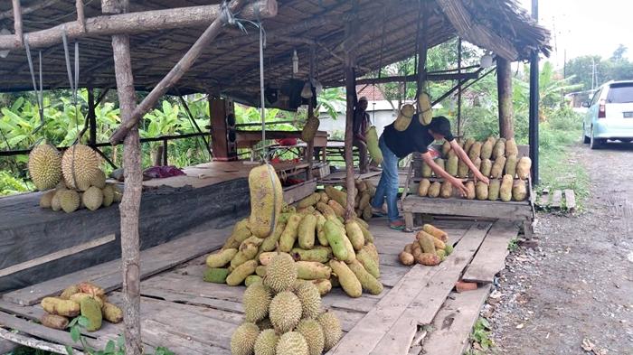 Rama-27-salah-satu-pedagang-buah-cempedak-Jalintim-perbatasan-Kabupaten-OKI-dan-OI-1.jpg