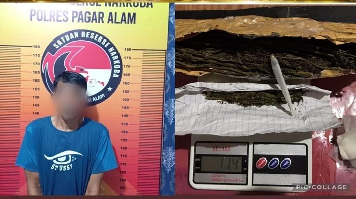 Tersangka-Anton-Lukman-42-dan-barang-bukti-ganja-saat-diamankan-polisi-di-Pagar-Alam.jpg