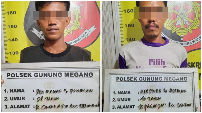 Tersangka-pencurian-buah-sawit.jpg