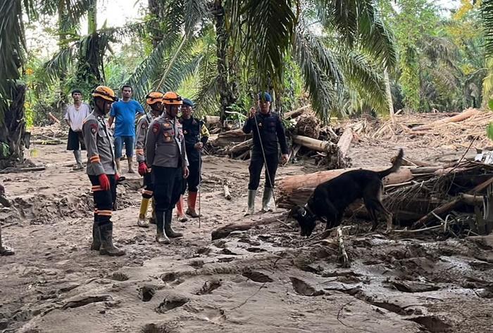 Tim-K9-Ditpolsatwa-Baharkam-Polri-Bantu-Pencarian-Korban-Bencana-di-Bantaran-Sungai-Huta-Raja.jpg