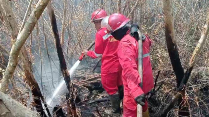 Tim Satgas Karhutla Indralaya Ogan Ilir Berusaha Menembus Pepohonan Gelam untuk Padamkan Kebakaran