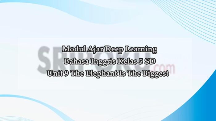 Unit-9-The-elephant-is-the-biggest.jpg