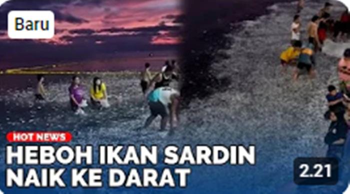 Video-Pertanda-Gempa-Megathrust-Filipina-Kuak-Fakta-Fenomena-Berton-ton-Ikan-Sardin-Naik-ke-Darat.jpg
