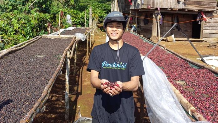 Resign dan Pilih Pulang Kampung, Pemuda Ini Sukses Kembangkan Kopi Fermentasi Honey