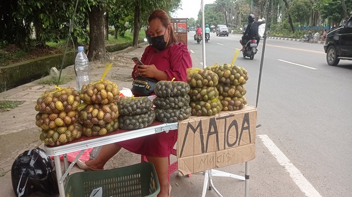 buah-matoa.jpg