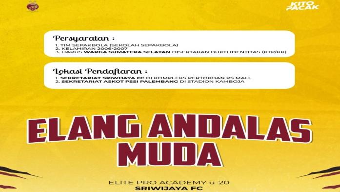 elang-andalas-muda.jpg