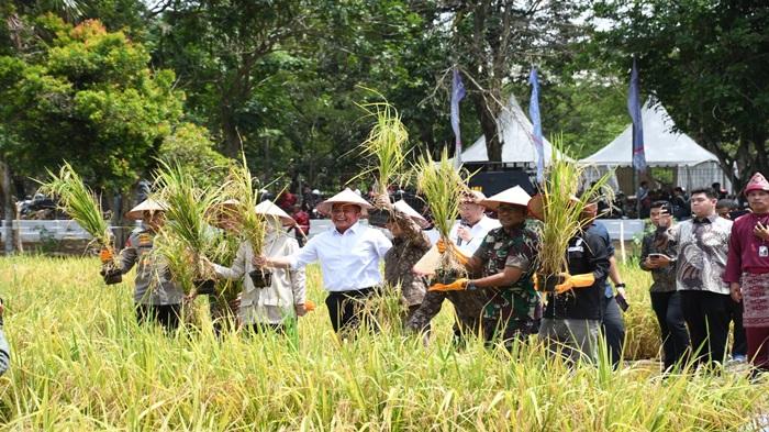 Sumatera Selatan Tuan Rumah Gebyar Perbenihan Nasional, Wujudkan Gerakan Mandiri Benih