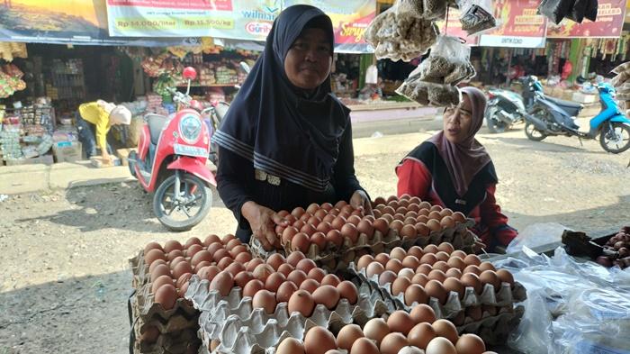 harga-telur-turun-di-mura.jpg