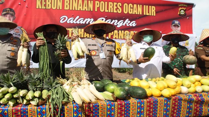 Bentuk Kampung Covid-19 Kapolda Sumsel Terima Penghargaan dari Presiden Jokowi