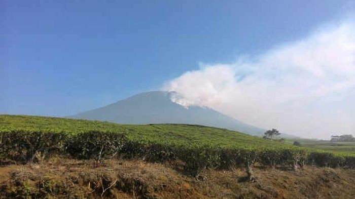kebakaran-hutan-di-gunung-dempo_20150917_091613.jpg