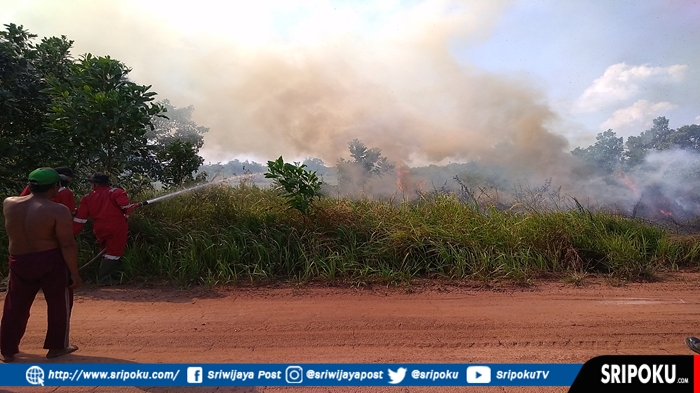 BREAKING NEWS : Kebakaran Lahan Terjadi di Dekat Jalan Tol Palindra, Kobaran Api Masih Terus Meluas