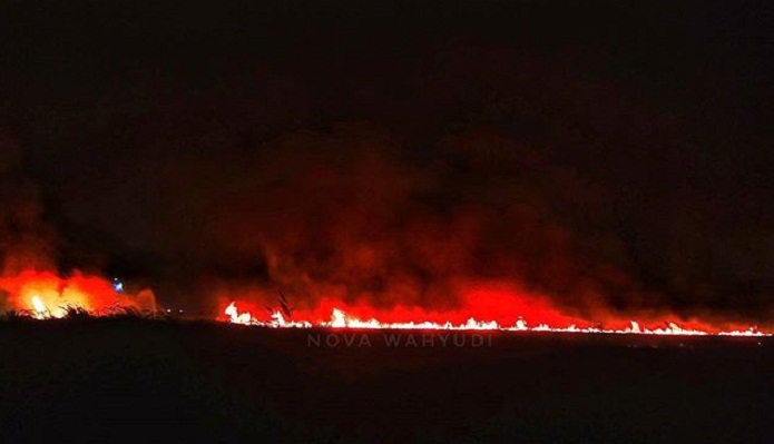 kebakaran-lahan_20170902_221552.jpg