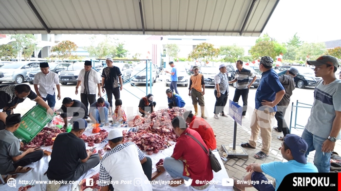 kegiatan-pemotongan-hewan-kurban-di-salah-satu-perusahaan-bumn-di-kota-palembang_20180825_212137.jpg