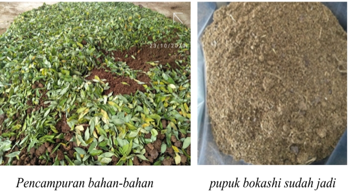 kembalikan-kesuburan-tanah-dengan-pupuk-organik-bokashi.jpg