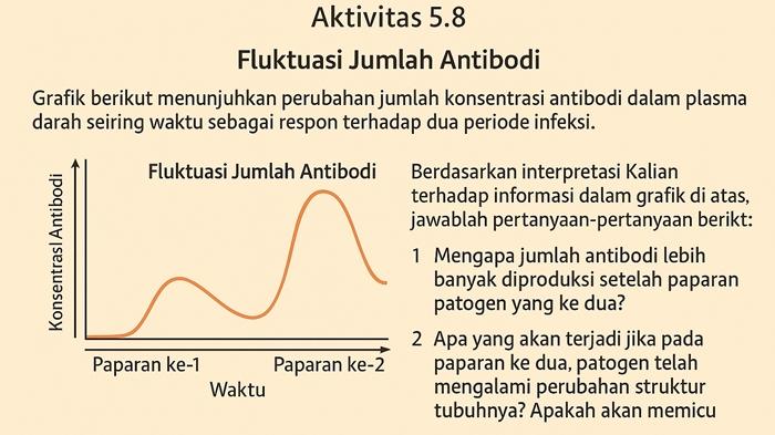 latihan-soal-dan-kunci-jawaban-Ayo-Berpikir-kritis-Aktivitas-58-Biologi-kelas-11-SMA-halaman-151.jpg