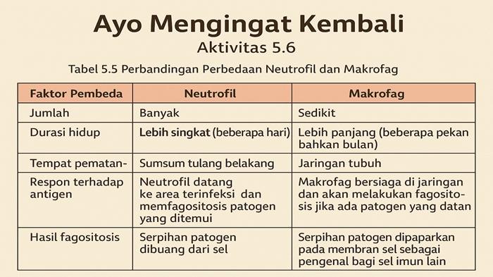 latihan-soal-dan-kunci-jawaban-Ayo-Mengingat-Kembali-Aktivitas-56-Biologi-kelas-11-SMA-halaman-147.jpg