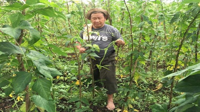 mantan-kabareskrim-komjen-pol-purn-susno-duadji-berada-di-kebun-miliknya-di-kota-pagaralam1.jpg
