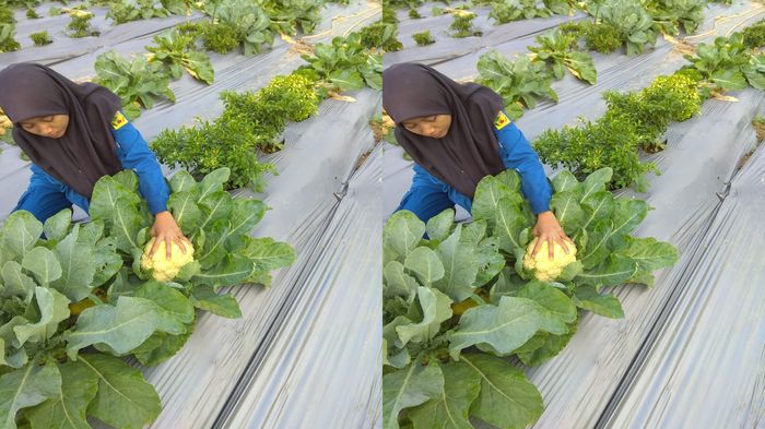 meskipun-berada-di-tengah-suasana-darurat-covid-19-smk-pp-negeri-sembawa.jpg