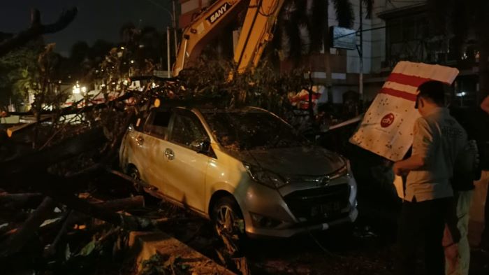 mobil-tertimpa-pohon-tumbang-di-Jalan-Merdeka.jpg