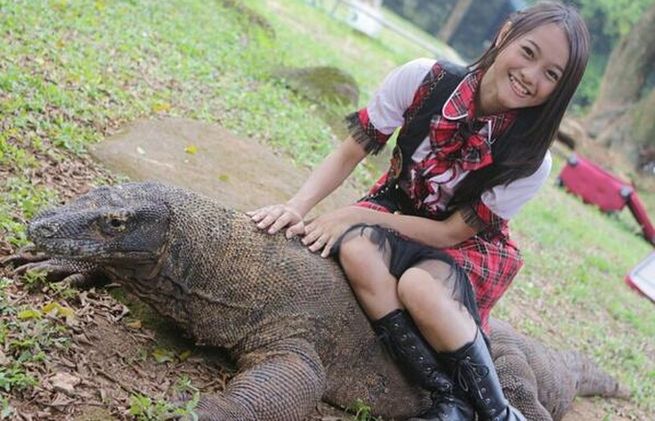 Perempuan yang Sedang Menstruasi Sebaiknya Batalkan Kunjungi Habitat Komodo, Ini Penjelasannya