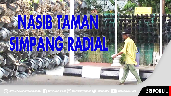 nasib-taman-simpang-radial-layu-sebelum-berkembang_20180724_174744.jpg