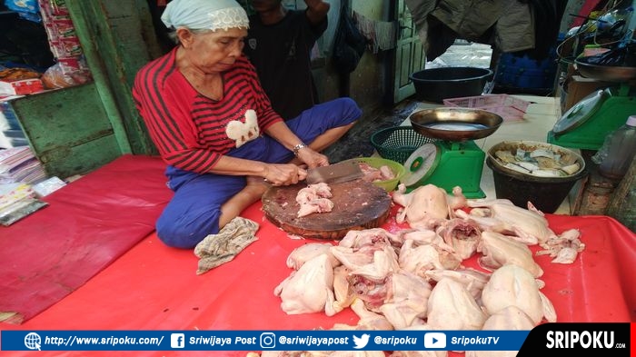 Sepekan Setelah Lebaran Harga Ayam Broiler di Pasar Tradisional Palembang Masih Mahal