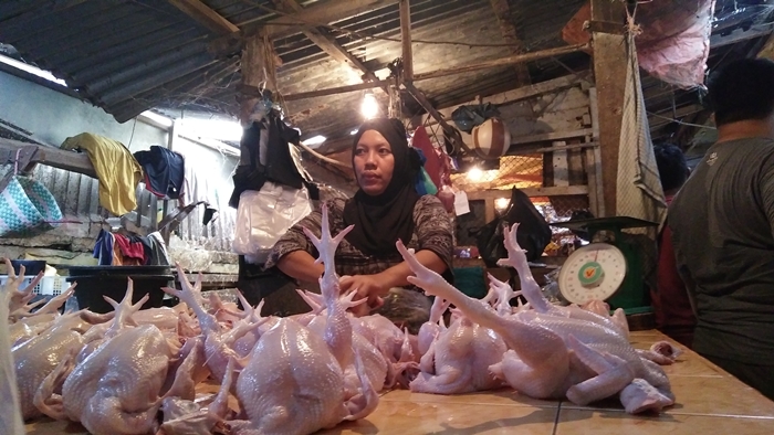 pedagang-ayam_20180612_110835.jpg