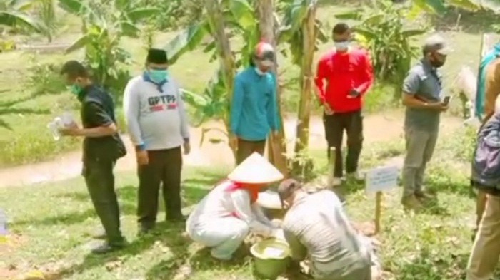 pelihara-pohon-aren-agar-produktif-dan-bernilai-ekonomis-di-kabupaten-pali.jpg