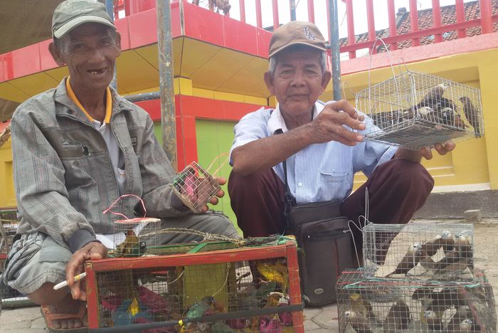 penjual-burung-pipit2323_20160201_164857.jpg