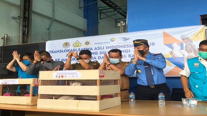 65 Hewan Dilindungi Diterbangkan ke Indonesia Timur dari Palembang, Nyaris Berakhir di Pasar Gelap